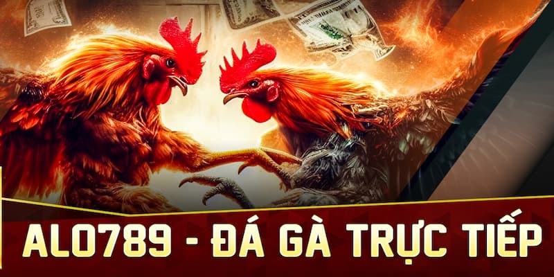 Đá gà Alo789 mang đến đa dạng trận đấu với tỷ lệ trả thưởng khủng